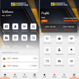 海外抢单刷单系统/连单系统/VUE3开发
